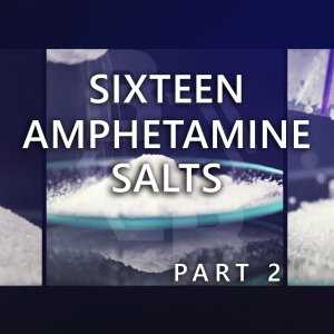 Six***** Amphetamine Salts. Part 2